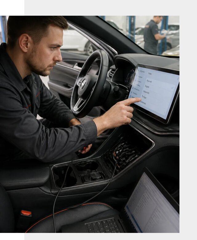 Профессиональная русификация BYD SONG Plus в Топках